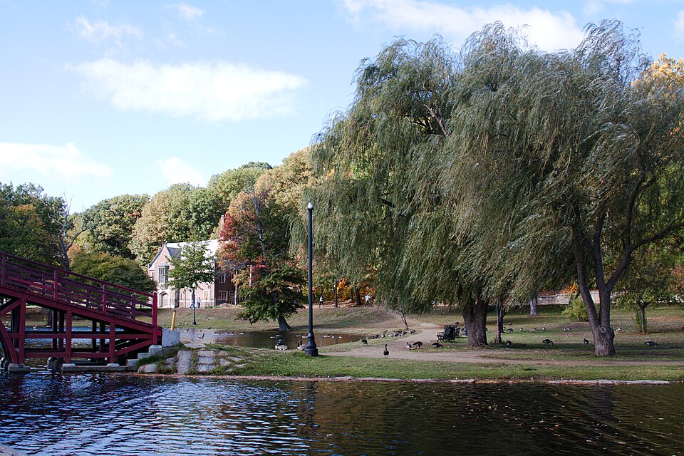 Elm Park